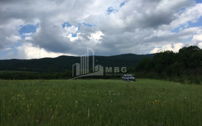 Продается Земля Гомбори Сагареджо Кахети
