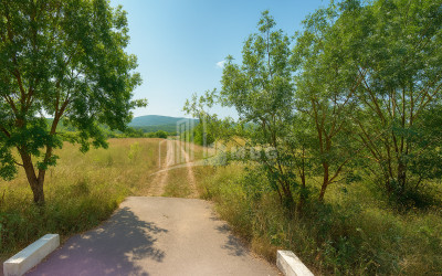 Продается Земля Трани Тианети Мцхета   Мтианети