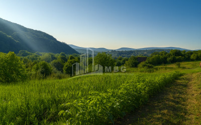 იყიდება მიწის ნაკვეთი ორხევი თიანეთი მცხეთა   მთიანეთი