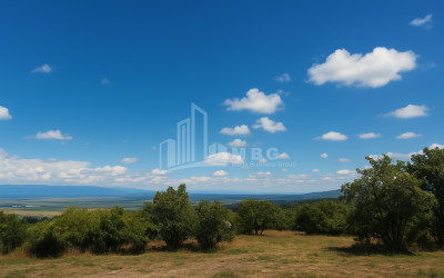 იყიდება მიწის ნაკვეთი სიღნაღი კახეთი