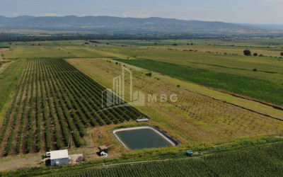 იყიდება მიწის ნაკვეთი საგარეჯო კახეთი