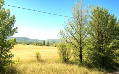 Продается Земля Трани Тианети Мцхета   Мтианети