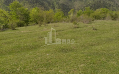 იყიდება მიწის ნაკვეთი მზეთამზე ბორჯომი სამცხე   ჯავახეთი