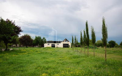 Продается Земля Цилкани Мцхета Мцхета   Мтианети