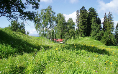 Продается Земля Абастумани Адигени Самцхе   Джавахети