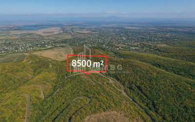 იყიდება მიწის ნაკვეთი სიღნაღი კახეთი