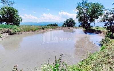 იყიდება მიწის ნაკვეთი ყვარელი კახეთი