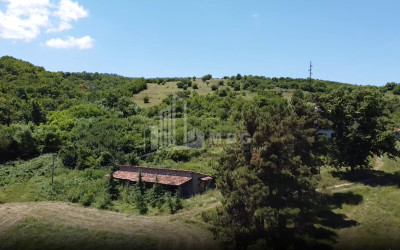 For Sale Commercial Atskuri Akhmeta Kakheti