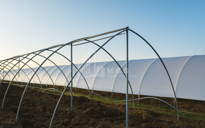 იყიდება მიწის ნაკვეთი ვანი იმერეთი