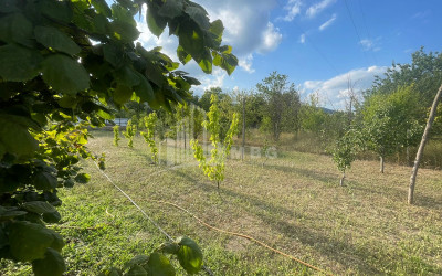 For Sale Land Easter Easter Mtskheta Mtskheta   Mtianeti