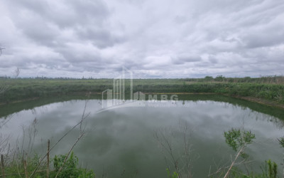 იყიდება მიწის ნაკვეთი სენაკი სამეგრელო   ზემო სვანეთი