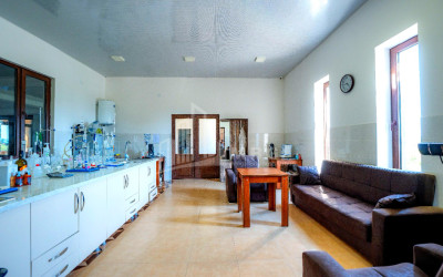 For Sale Commercial Shilda Kvareli Kakheti