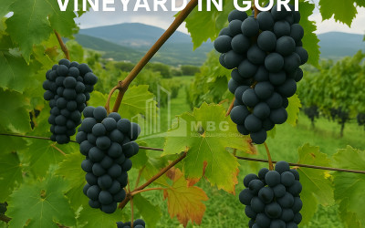 For Sale Land Gori Shida Kartli