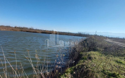 For Sale Land Kutaisi Imereti