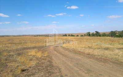 For Sale Land Kavtiskhevi Kaspi Shida Kartli