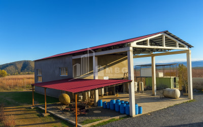 For Sale Commercial Shilda Kvareli Kakheti