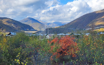 Продается Земля Деревня Чинти Душети Мцхета   Мтианети