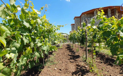 Продается Коммерческий Телави Кахети