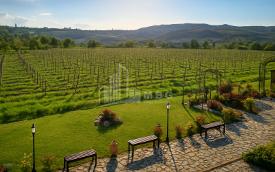 Продается Коммерческий Хашми Сагареджо Кахети