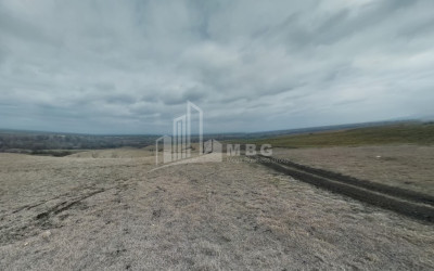 Продается Земля Квемо Бодбе Сигнаgи Кахети