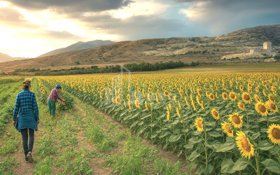 იყიდება მიწის ნაკვეთი გურია