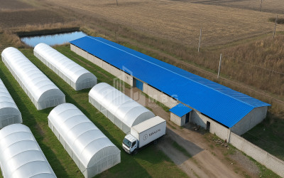 იყიდება მიწის ნაკვეთი ვანი იმერეთი