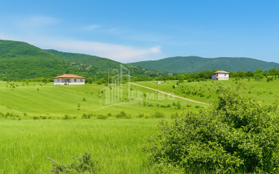 For Sale Land Akhatani Dusheti Mtskheta   Mtianeti