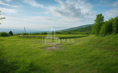 იყიდება მიწის ნაკვეთი სიღნაღი კახეთი