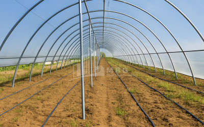 იყიდება მიწის ნაკვეთი ვანი იმერეთი