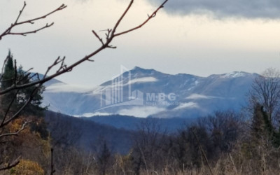 For Sale Land Eniseli Kvareli Kakheti