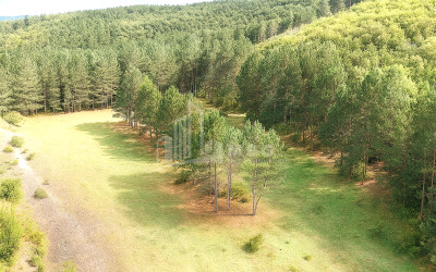 Продается Земля Городок Сурами Хашури Шида Картли