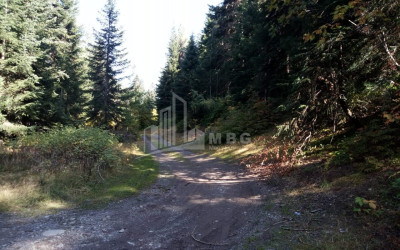 Продается Земля Хатцвали Местия Самегрело   Верхняя Сванетия