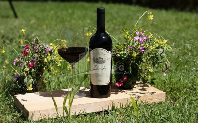 Продается Коммерческий Хашми Сагареджо Кахети