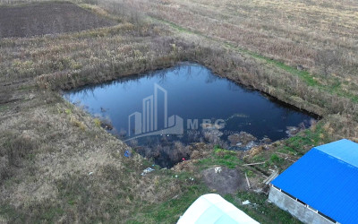 იყიდება მიწის ნაკვეთი ვანი იმერეთი