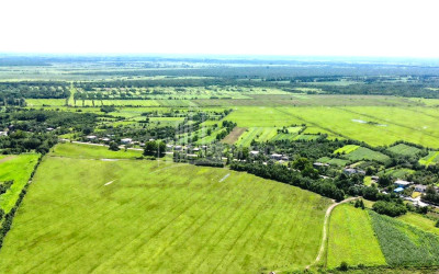 იყიდება მიწის ნაკვეთი სენაკი სამეგრელო   ზემო სვანეთი