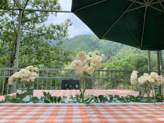 Продается Коммерческий Садгери Боржоми Самцхе   Джавахети