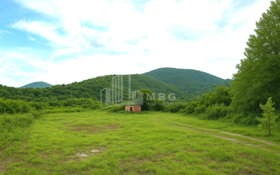 იყიდება მიწის ნაკვეთი სიღნაღი კახეთი