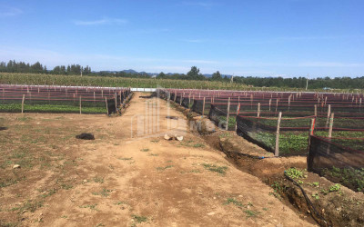 იყიდება მიწის ნაკვეთი გურია