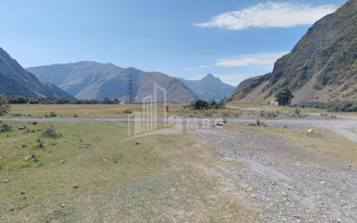 For Sale Land Fanshet Kazbegi Mtskheta   Mtianeti