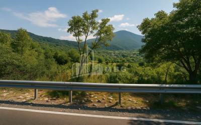 For Sale Land Baji Ambrolauri Racha   Lechxumi Kvemo Svaneti