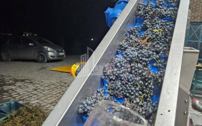 იყიდება კომერციული ფართი დოესი კასპი შიდა ქართლი