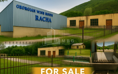 For Sale Commercial Ambrolauri Racha   Lechxumi Kvemo Svaneti
