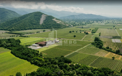 For Sale Land Kvareli Kakheti