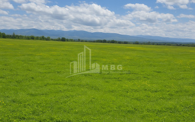 For Sale Land Vartsikhe Baghdati Imereti