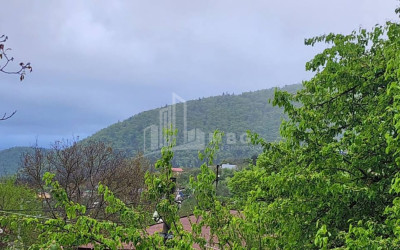 Продается Дом Вилла Квишхети Хашури Шида Картли