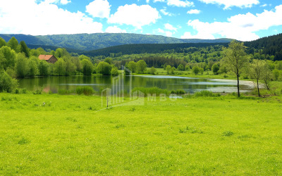 For Sale Land Nikortsminda Ambrolauri Racha   Lechxumi Kvemo Svaneti