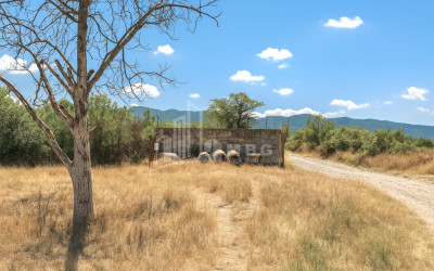 Продается Земля ли Каспси Шида Картли