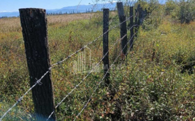 იყიდება მიწის ნაკვეთი სენაკი სამეგრელო   ზემო სვანეთი