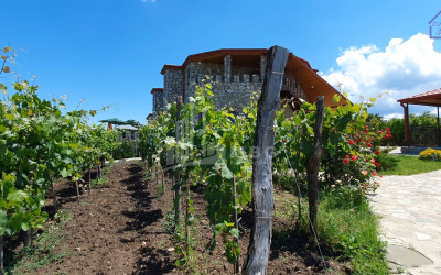 Продается Коммерческий Телави Кахети