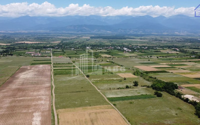 Продается Коммерческий Телави Кахети